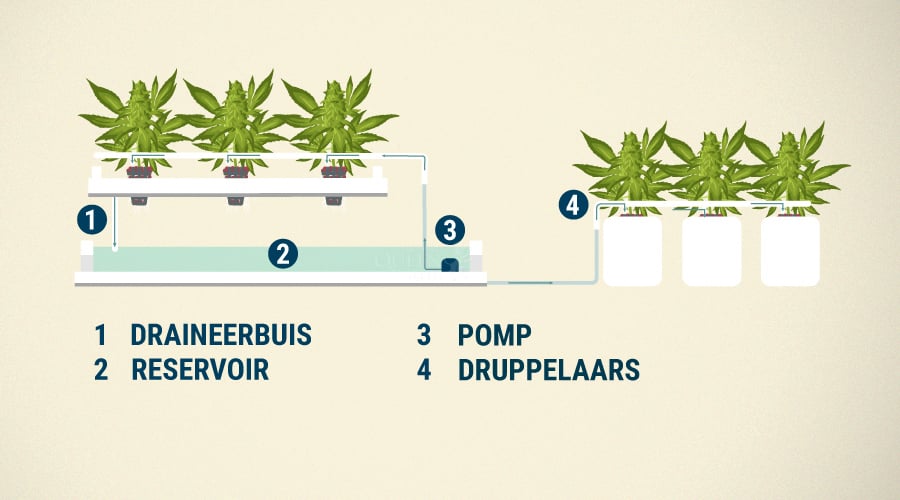 Continuous Drip Hydroponics