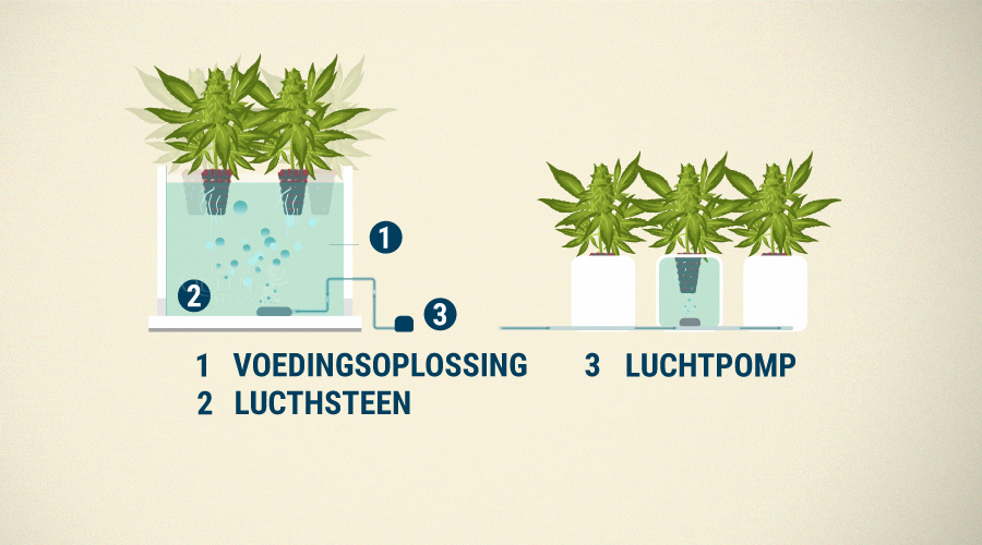 Diep-water-cultuur Diep-water-cultuur