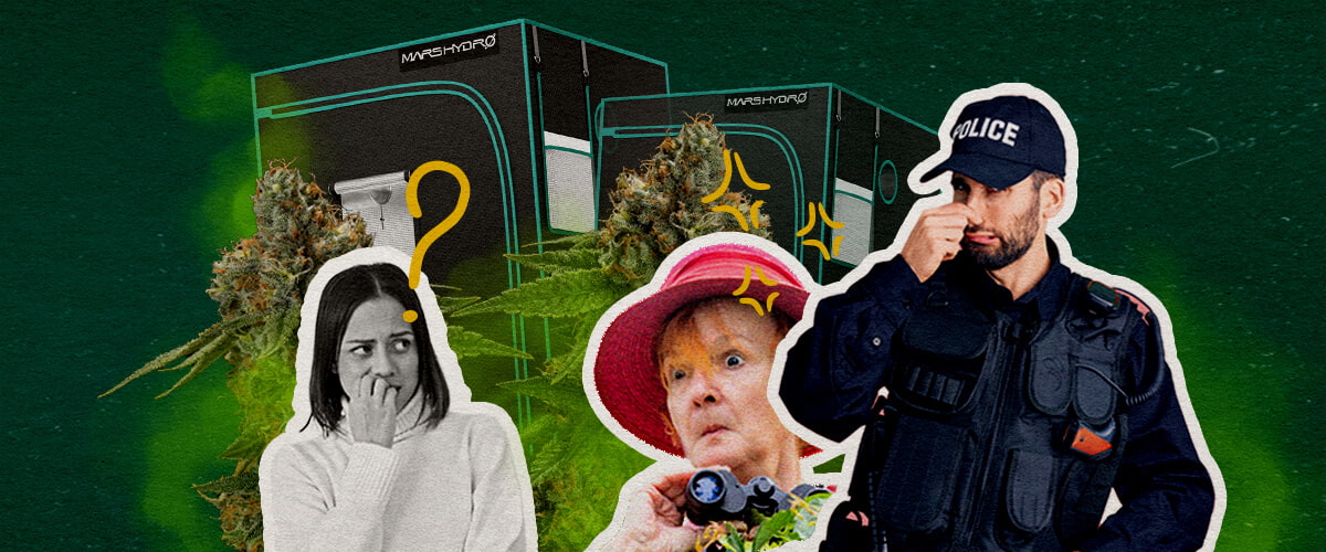 Houden Growtenten de Geur van Cannabis Binnen Een illustratie van cannabisbloemen met growtenten, een verwarde vrouw, een verraste vrouw met verrekijker en een politieagent, tegen een groene achtergrond, die onderzoekt of growtenten de cannabisgeur binnenhouden.