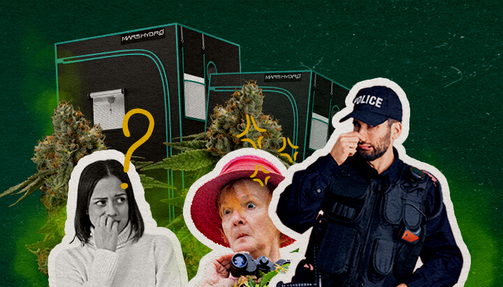 Houden Growtenten de Geur van Cannabis Binnen Een illustratie van cannabisbloemen met growtenten, een verwarde vrouw, een verraste vrouw met verrekijker en een politieagent, tegen een groene achtergrond, die onderzoekt of growtenten de cannabisgeur binnenhouden.