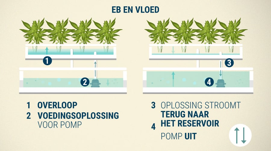 Eb- En Vloedsysteem Eb- En Vloedsysteem
