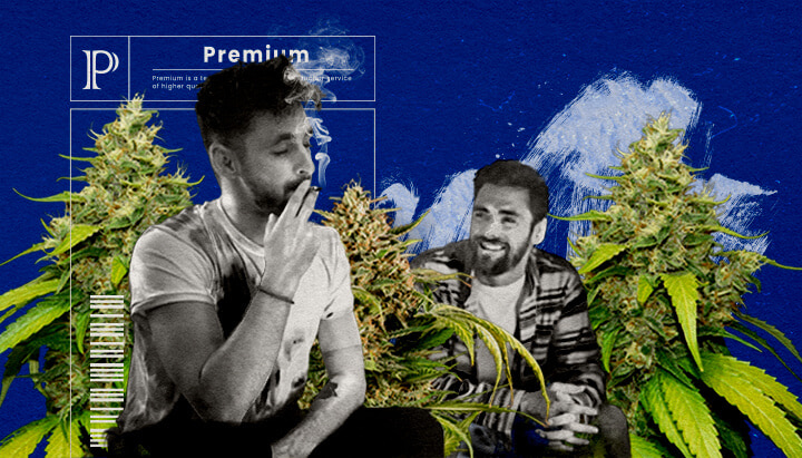 Effecten en Ervaring van Blue Gelato Cannabis Review Een illustratie van een Blue Gelato cannabisbloem met paarse tinten, omringd door een ontspannende en opwekkende aura, tegen een groene achtergrond, die de effecten en gebruikerservaring van de stam laat zien.