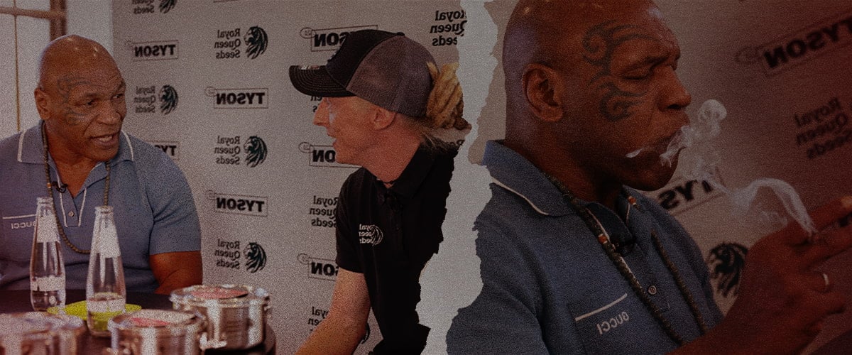 Mike Tyson en Royal Queen Seeds – Euforische gesprekken over cannabis Mike Tyson in gesprek en rokend met een vertegenwoordiger van Royal Queen Seeds, waarin hun samenwerking en euforische cannabis lifestyle centraal staan.