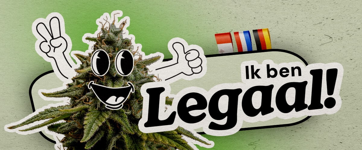 Europese landen waar wiet volledig legaal is Een vrolijke cartoon hennepplant met vredesteken en duim omhoog staat tegen een groene achtergrond. De tekst