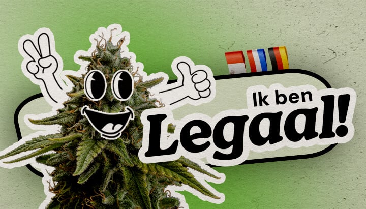 Europese landen waar wiet volledig legaal is Een vrolijke cartoon hennepplant met vredesteken en duim omhoog staat tegen een groene achtergrond. De tekst