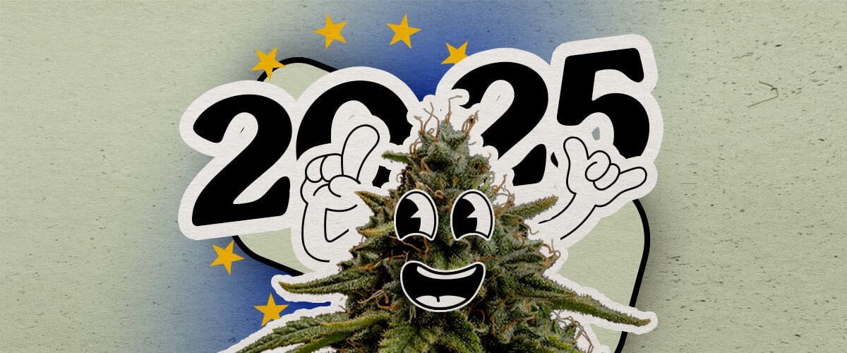 Ontdek het Europese cannabislandschap in 2025 Een vrolijke cartoon hennepplant met een grote glimlach en opgeheven handen staat tegen een gradient achtergrond met 2025 en Europese sterren. De afbeelding viert het cannabislandschap in Europa voor het jaar.