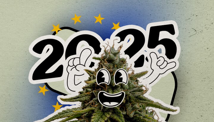 Ontdek het Europese cannabislandschap in 2025 Een vrolijke cartoon hennepplant met een grote glimlach en opgeheven handen staat tegen een gradient achtergrond met 2025 en Europese sterren. De afbeelding viert het cannabislandschap in Europa voor het jaar.