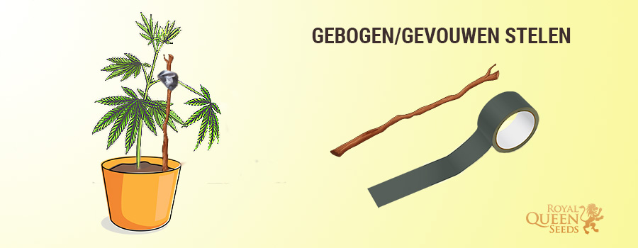 Fix Broken stengels en losse stengels Fix Broken stengels en losse stengels
