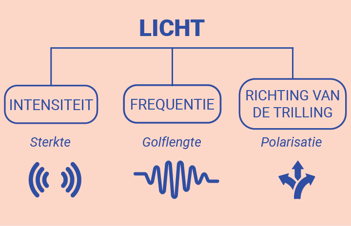 Zichtbaar licht vs. onzichtbaar licht