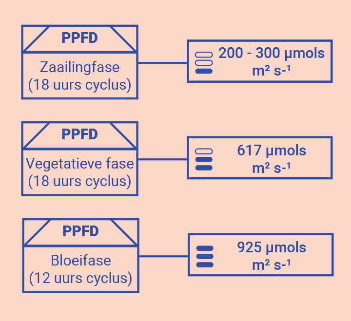 Haal met meer kennis het maximale uit je kweekruimte Haal met meer kennis het maximale uit je kweekruimte