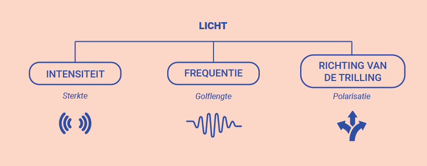 Zichtbaar licht vs. onzichtbaar licht Zichtbaar licht vs. onzichtbaar licht
