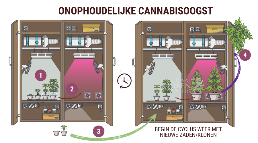 De onophoudelijke oogstmethode De onophoudelijke oogstmethode