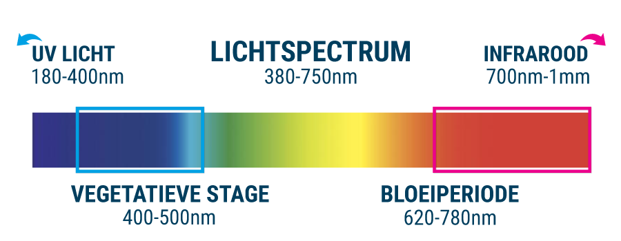 HET VERKEERDE LICHTSPECTRUM