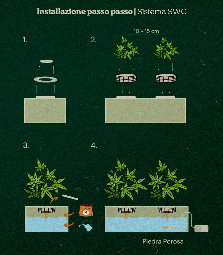 Hoe bouw je een shallow water culture kweeksysteem voor wietplanten? Hoe bouw je een shallow water culture kweeksysteem voor wietplanten?