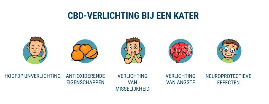 CBD-verlichting bij een kater CBD-verlichting bij een kater