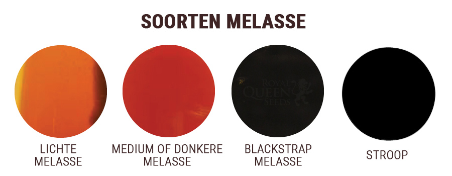 MELASSE MET EN ZONDER ZWAVEL MELASSE MET EN ZONDER ZWAVEL