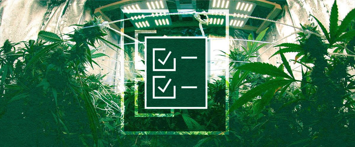 Checklist voor de Uitrusting van een Kweektent: Lampen, Ventilatie, Timers & Stroom Checklist voor de uitrusting van een kweektent voor beginners: Zorg voor succes met essentiële verlichting, ventilatiesystemen, timers en controllers, plus energiebeheer voor je indoor tuin.