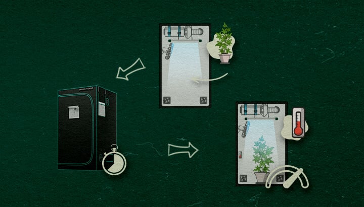 Stapsgewijze Handleiding voor het Opzetten van een 4×4 Kweektent Een voortgezette stapsgewijze handleidingillustratie voor het opzetten van een 4×4 kweektent, met de toevoeging van een cannabisplant, een timer voor lichtschema's en een thermometer om de omstandigheden te controleren, op een groene achtergrond met pijlen die het proces aangeven.