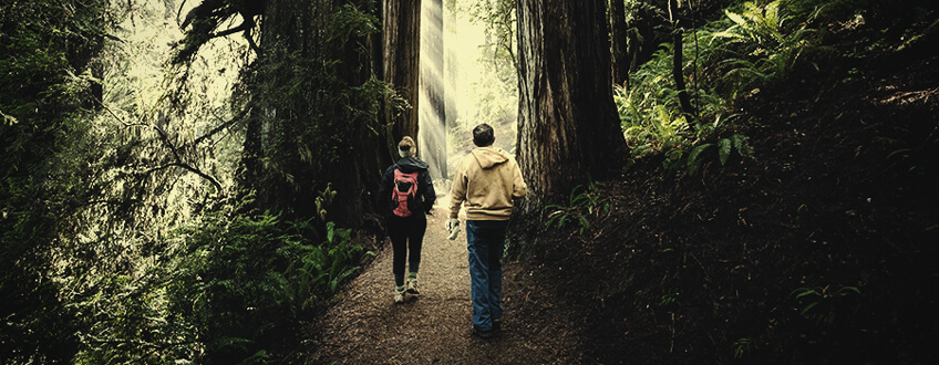 Wandelen Cannabis Sport