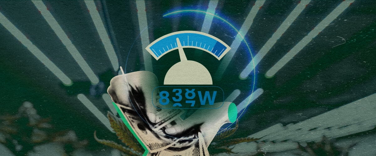 Futuristische meter met cannabisbladeren, toont het stroomverbruik van LED-groeilampen (100W-800W) voor zaailingen tot bloei op een donkergroene achtergrond, ideaal voor cannabis kweektips.