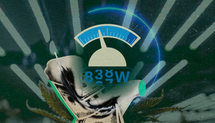 Futuristische meter met cannabisbladeren, toont het stroomverbruik van LED-groeilampen (100W-800W) voor zaailingen tot bloei op een donkergroene achtergrond, ideaal voor cannabis kweektips.
