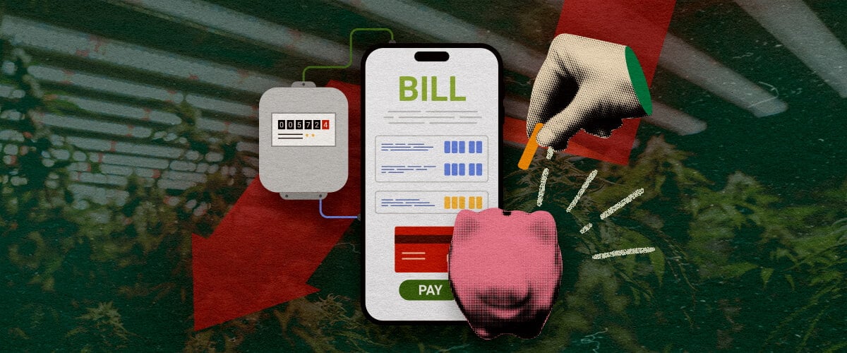 Elektriciteitsmeter met smartphone-rekening en spaarpot, toont manieren om elektriciteitskosten van de growroom te verlagen op een donkergroene achtergrond, ideaal voor cannabis besparingstips.