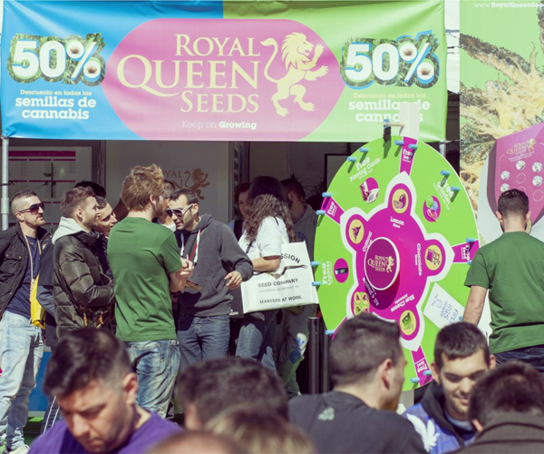 marihuanafestival winkel royal queen seeds barcelona spannabis