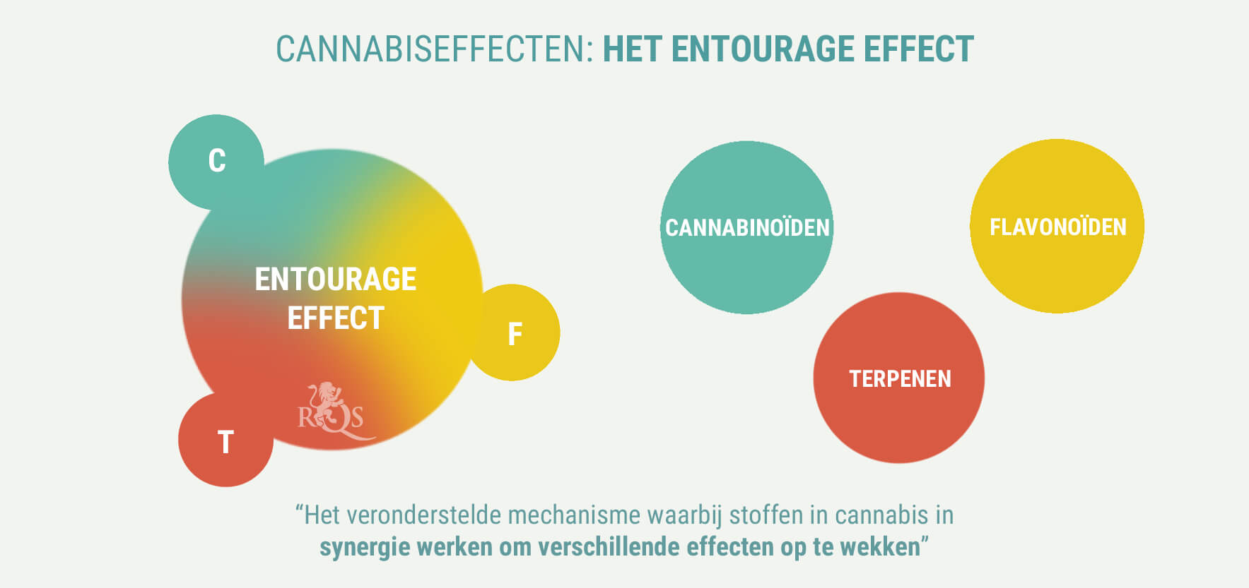 ZIJN DE EFFECTEN VAN INDICA EN SATIVA ANDERS? ZIJN DE EFFECTEN VAN INDICA EN SATIVA ANDERS?