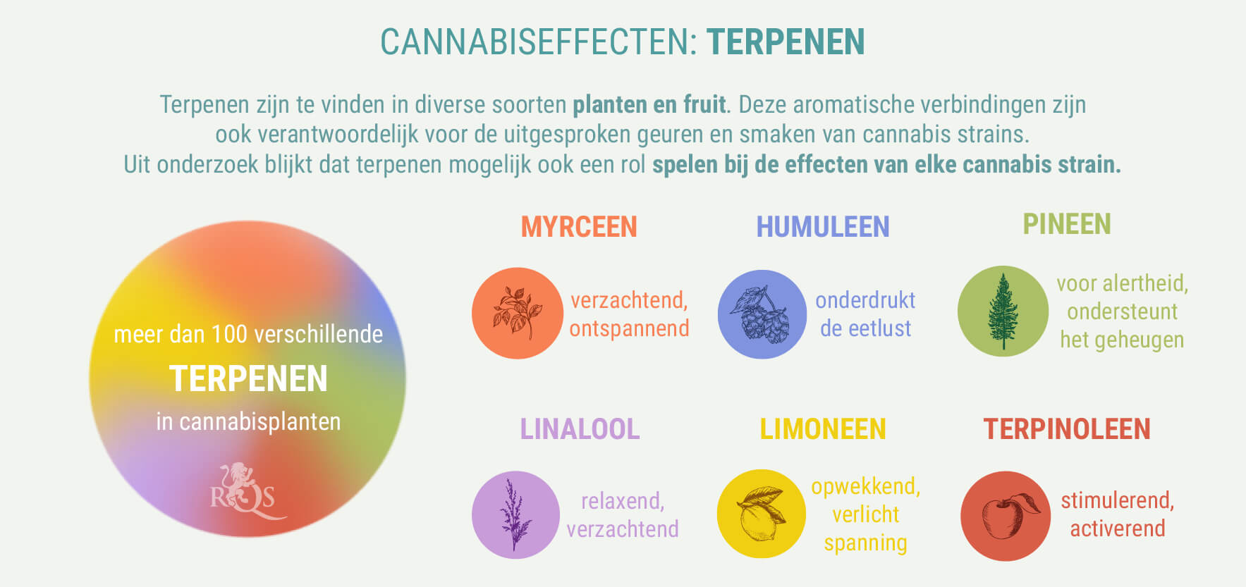 MEESTAL EEN COMBINATIE VAN INDICA EN SATIVA MEESTAL EEN COMBINATIE VAN INDICA EN SATIVA
