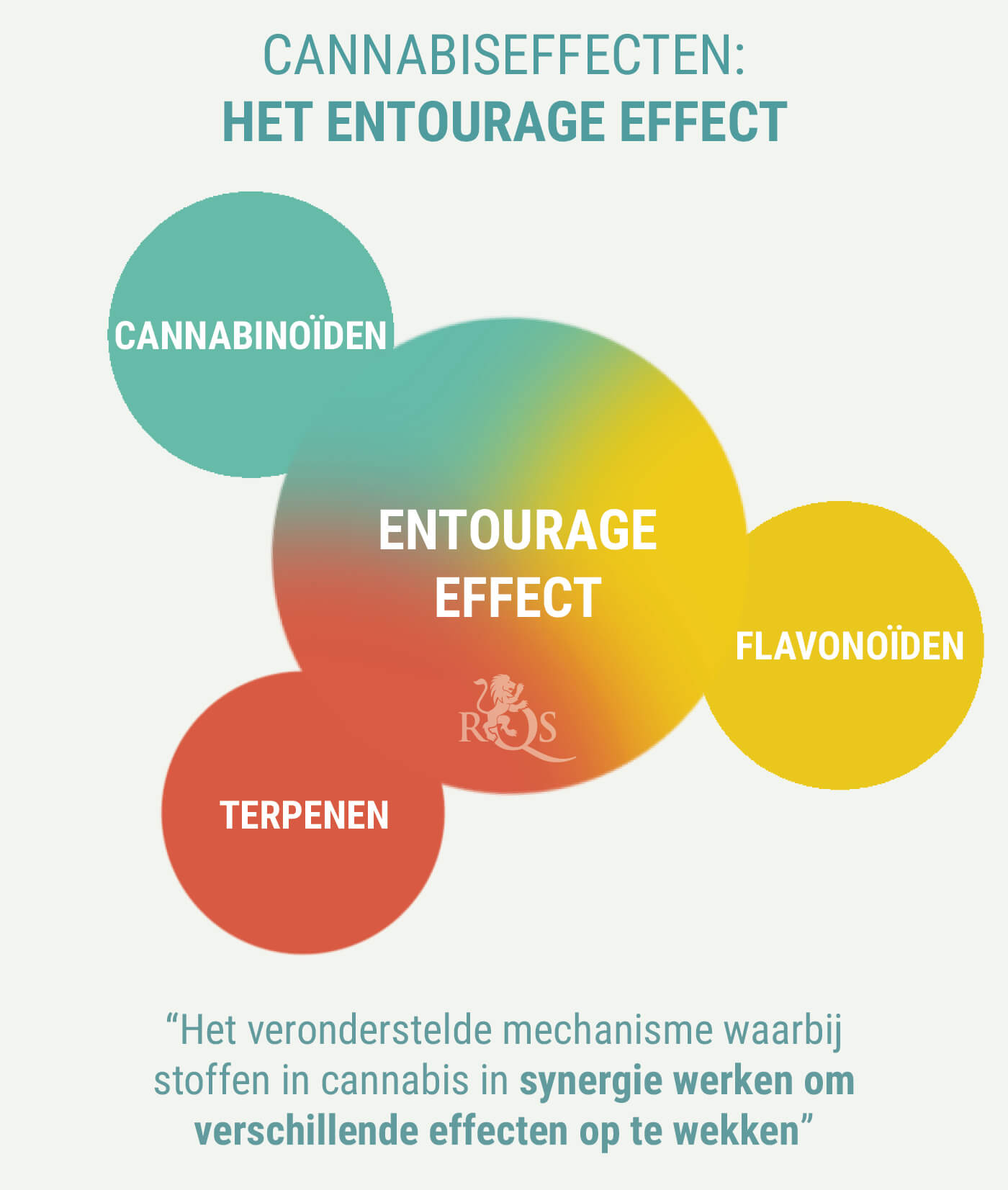 ZIJN DE EFFECTEN VAN INDICA EN SATIVA ANDERS? ZIJN DE EFFECTEN VAN INDICA EN SATIVA ANDERS?