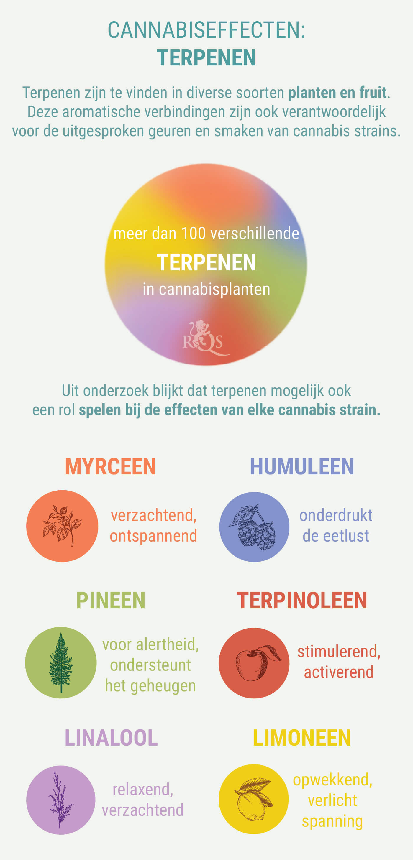MEESTAL EEN COMBINATIE VAN INDICA EN SATIVA MEESTAL EEN COMBINATIE VAN INDICA EN SATIVA