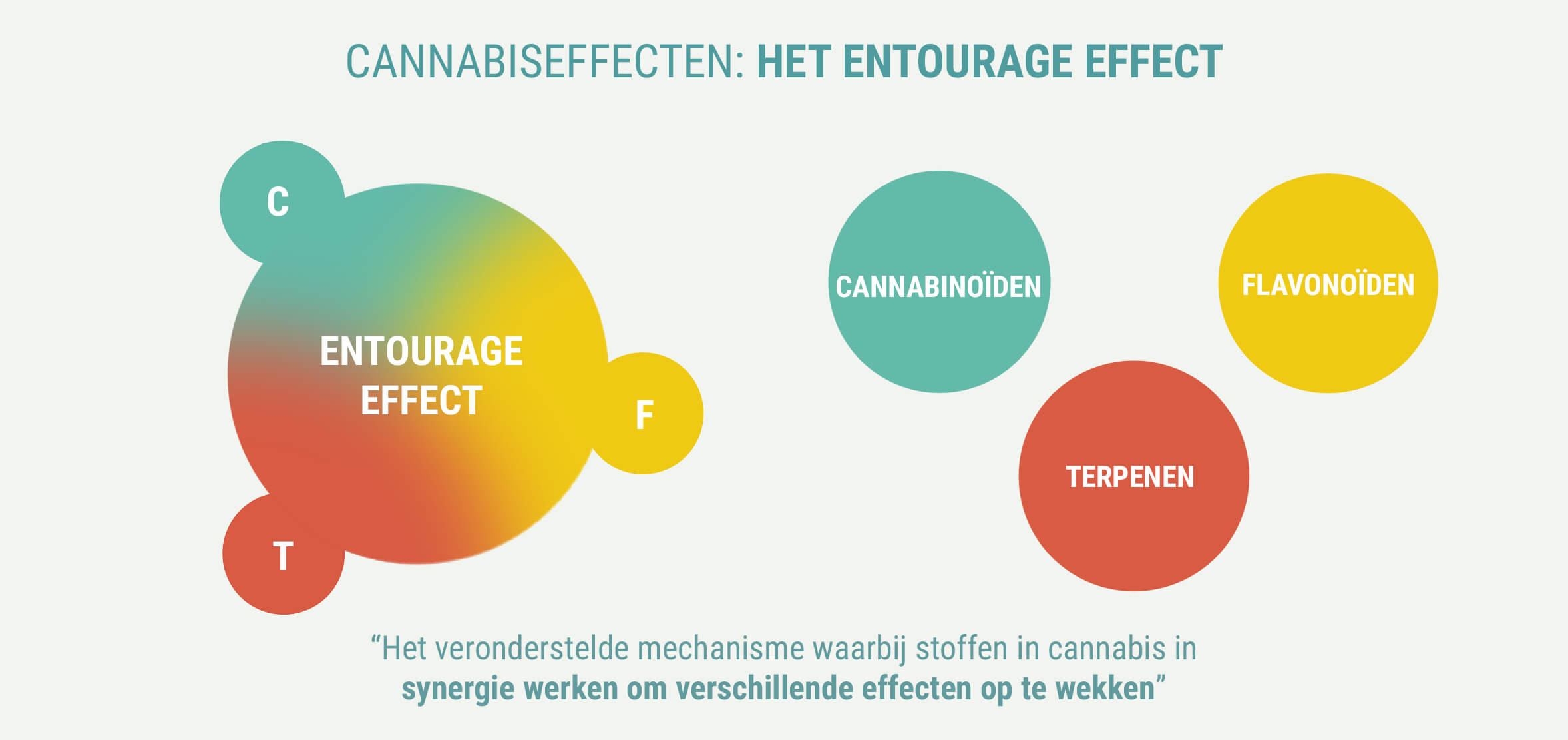 ZIJN DE EFFECTEN VAN INDICA EN SATIVA ANDERS? ZIJN DE EFFECTEN VAN INDICA EN SATIVA ANDERS?