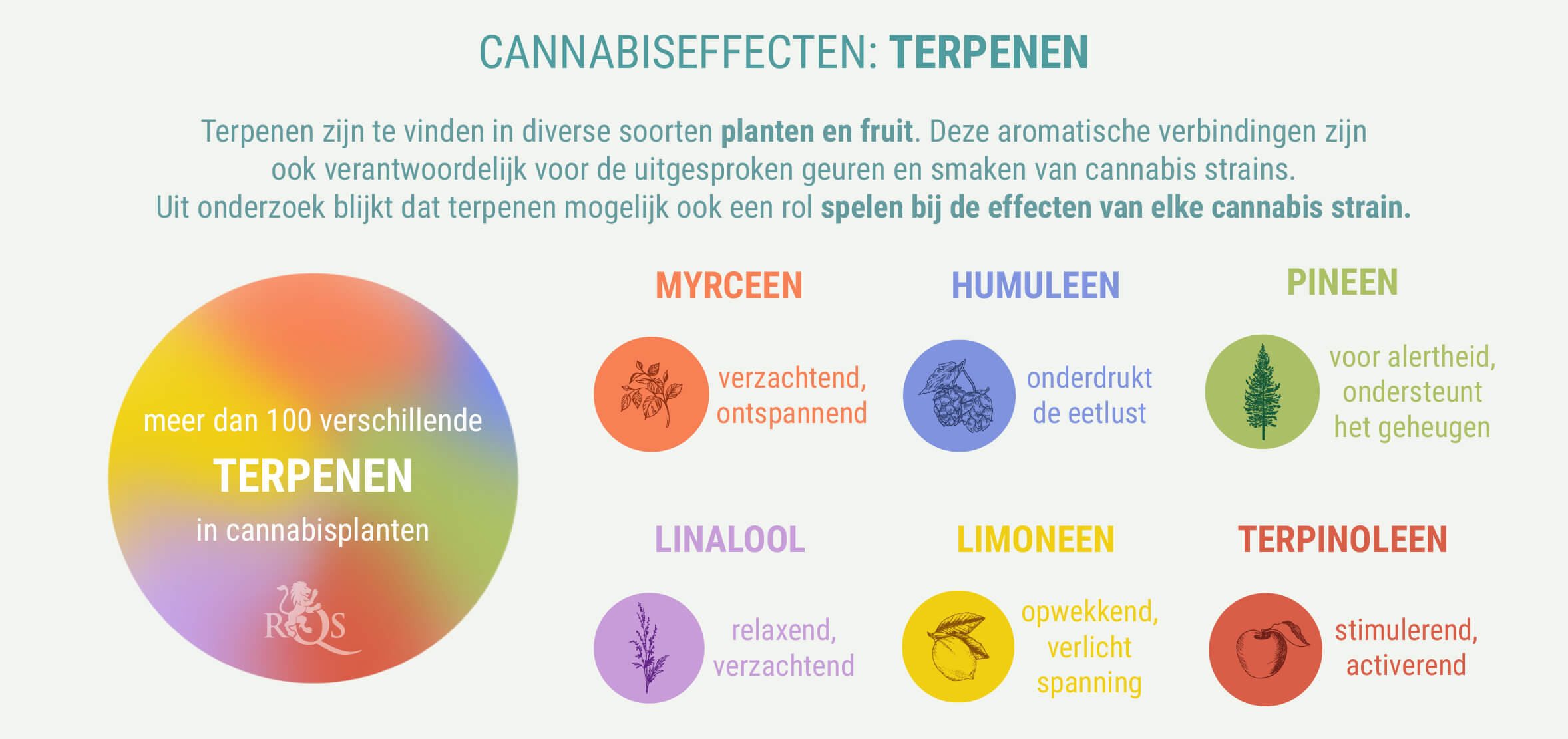 MEESTAL EEN COMBINATIE VAN INDICA EN SATIVA MEESTAL EEN COMBINATIE VAN INDICA EN SATIVA