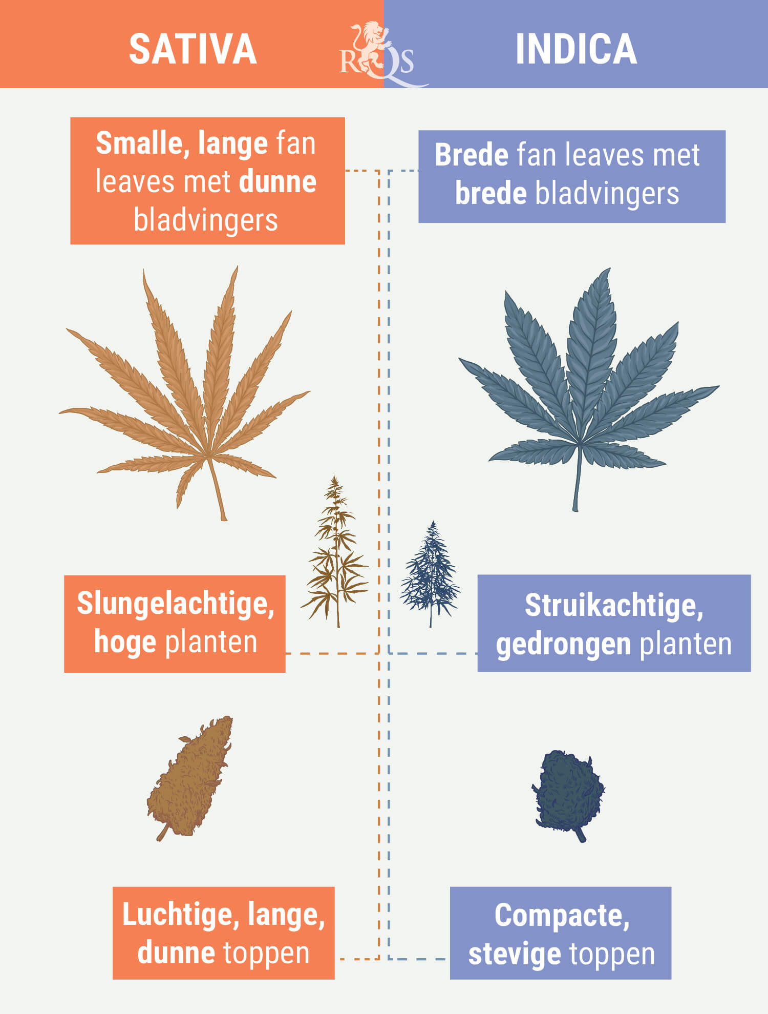 INDICA ONDERSCHEIDEN VAN SATIVA