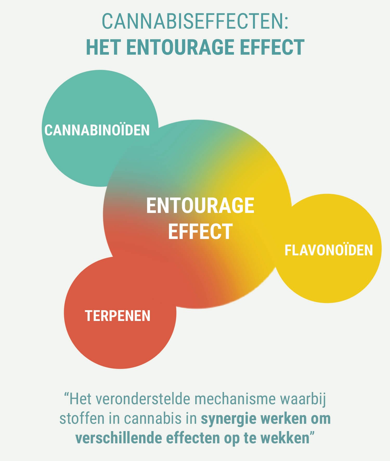 ZIJN DE EFFECTEN VAN INDICA EN SATIVA ANDERS? ZIJN DE EFFECTEN VAN INDICA EN SATIVA ANDERS?