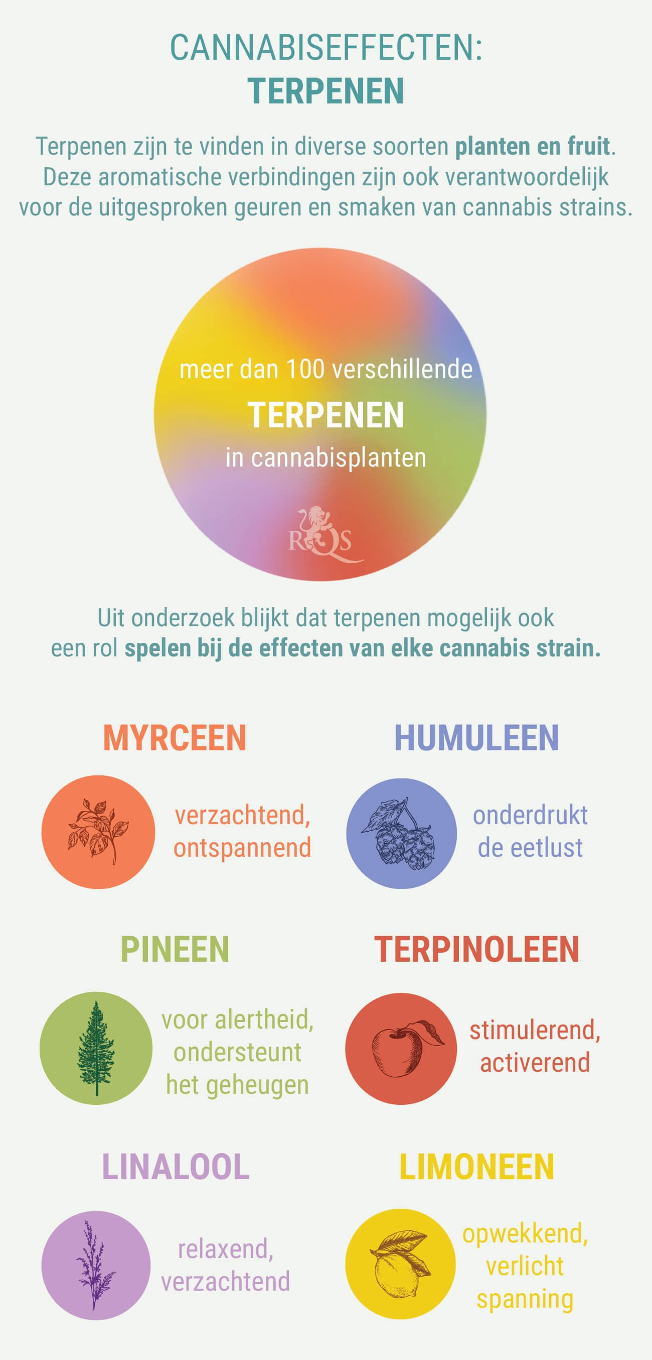  MEESTAL EEN COMBINATIE VAN INDICA EN SATIVA