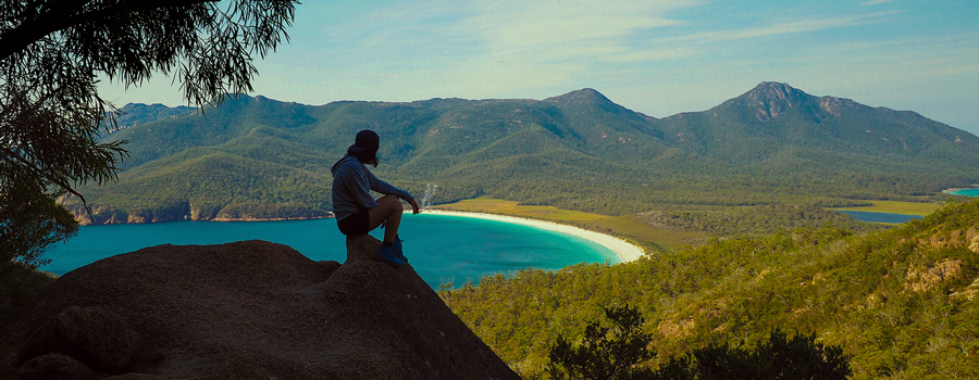 Tasmania reguleren medische cannabis. Producent en exporteur Tasmania reguleren medische cannabis. Producent en exporteur