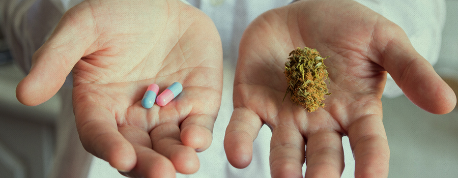 medische cannabis Tasmania Australië legalisatie medische cannabis Tasmania Australië legalisatie