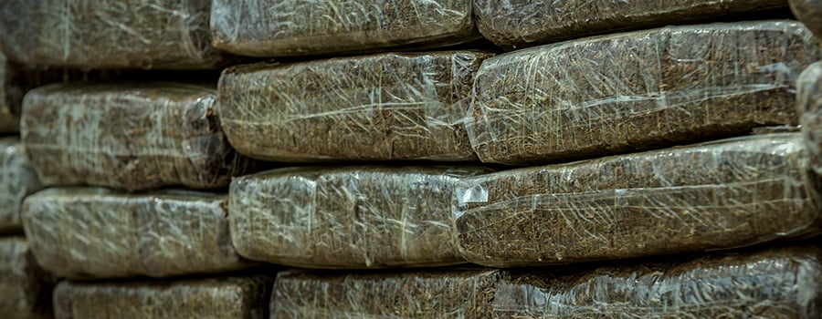 cannabispakketten. Wereldwijd legalisatie