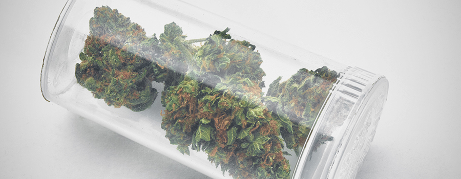 Cannabis Bud Medicine Voor Behandeling Diabetes Cannabis Bud Medicine Voor Behandeling Diabetes
