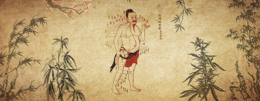 Cannabis In De Traditionele Chinese Geneeskunde Acupunctuur