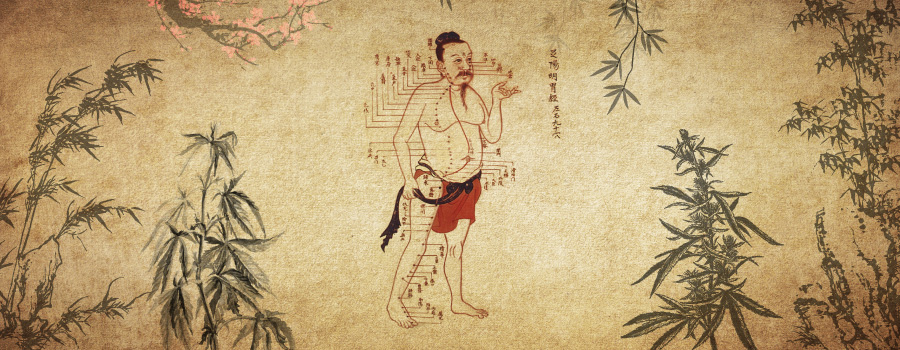 Cannabis In De Traditionele Chinese Geneeskunde Acupunctuur