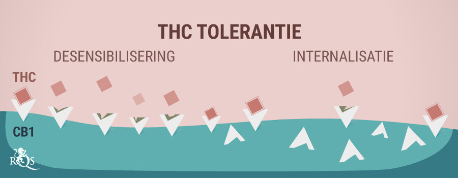 THC Tolerantie