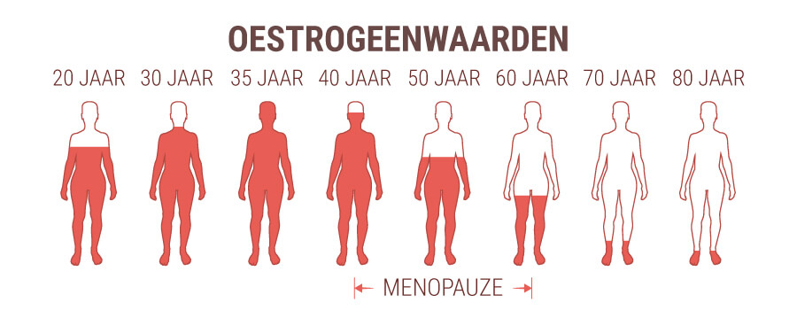 Oestrogeenhormoonniveau Oestrogeenhormoonniveau