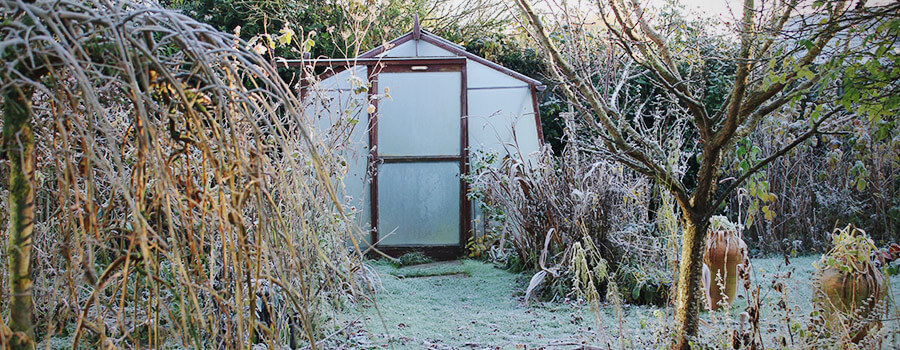 Winter Voorwaarden Kas Winter Voorwaarden Kas