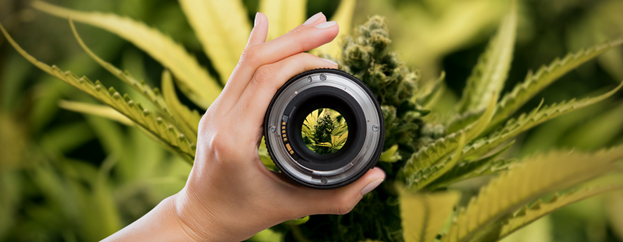 Camera-instelling Doelstelling Van Cannabisfotografie