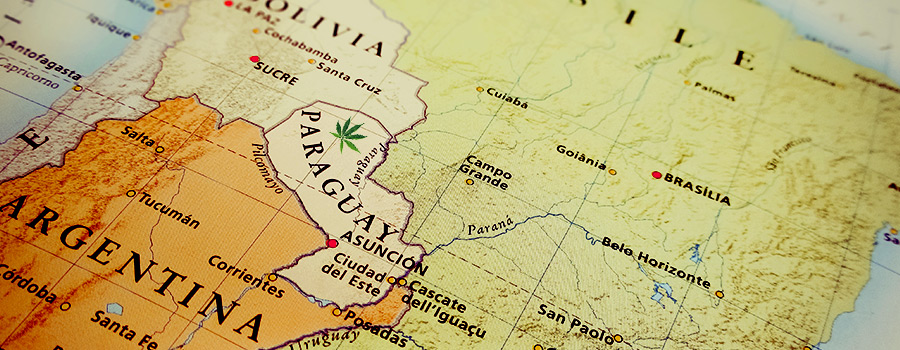 Paraguay Zuid-Amerika Cannabiswetgeving Paraguay Zuid-Amerika Cannabiswetgeving
