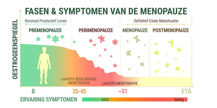 Stadia En Symptomen Van De Menopauze
