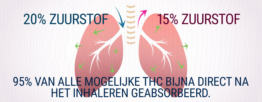 Longen Die Rook Van Cannabis Inademen