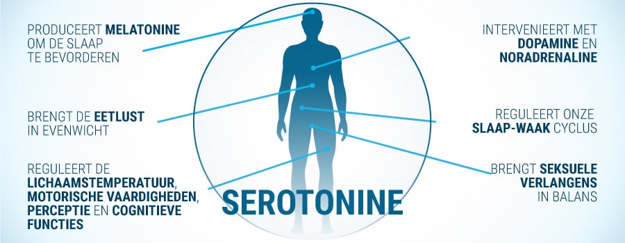 Serotonine-effecten Op Het Menselijk Lichaam